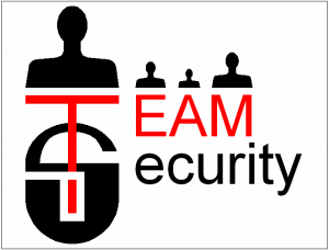 Team Security Logo